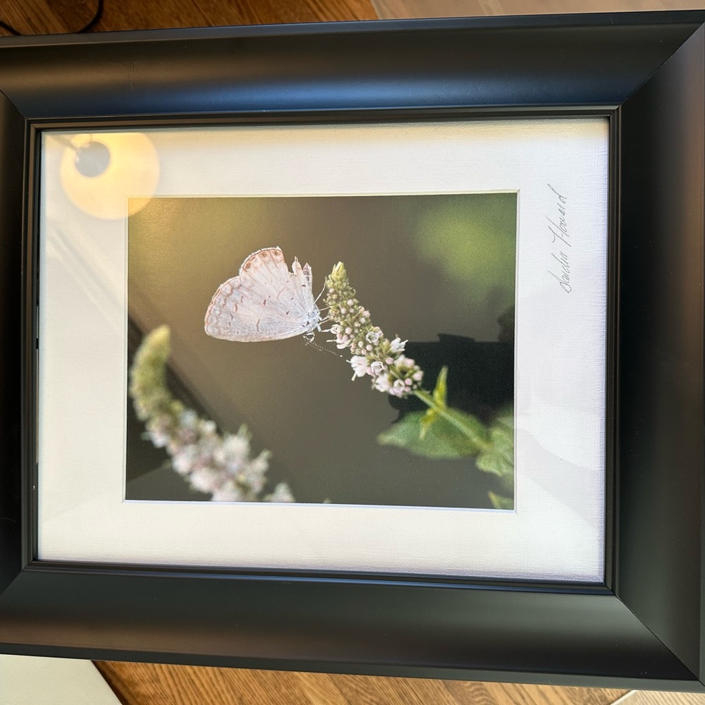 Spring Photographers print - Picture 3 of 3